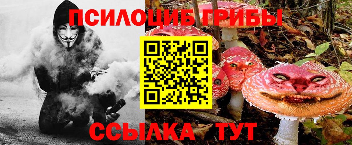 Псилоцибиновые грибы Cubensis  Вход с VPN  Искитим 