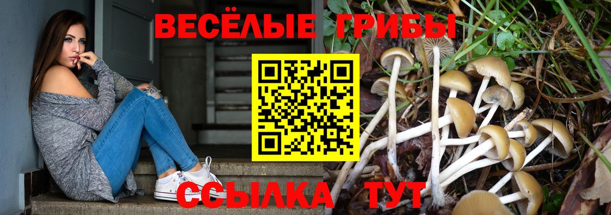 Галлюциногенные грибы прущие грибы Искитим
